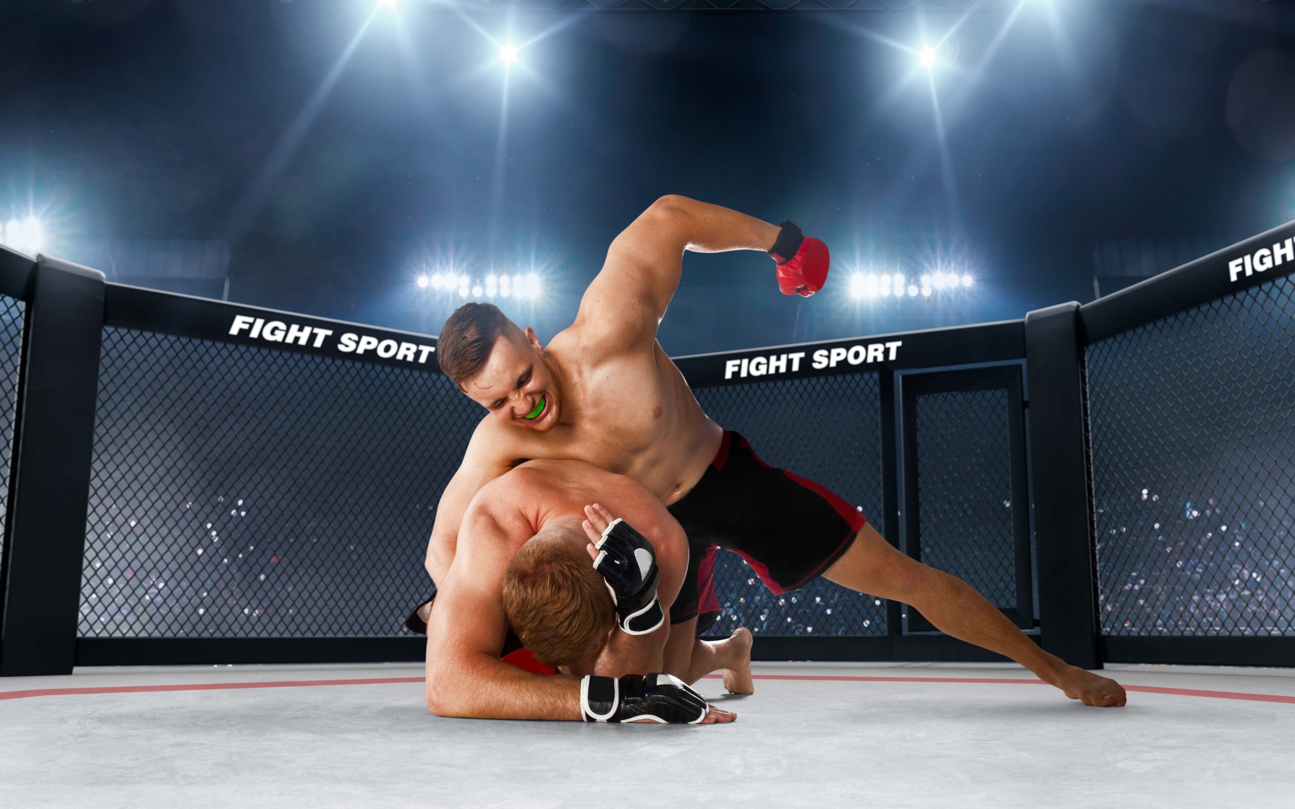mma-fighters-professional-ring-fighting-championship